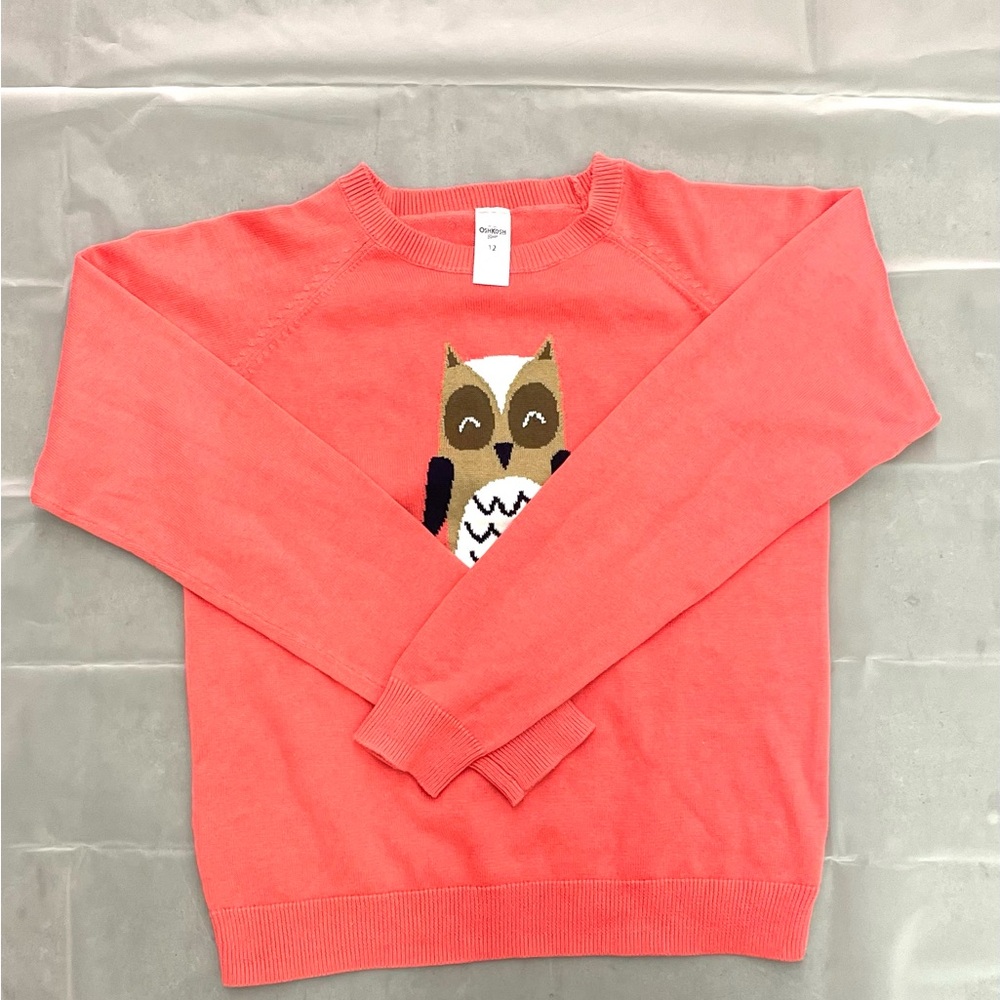 OshKosh B'gosh owl crewneck lightsweater in pink Sz 12